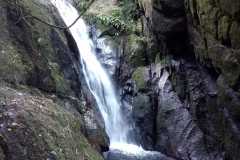 Cachoeira da Andorinha - São Francisco Xavier - SP